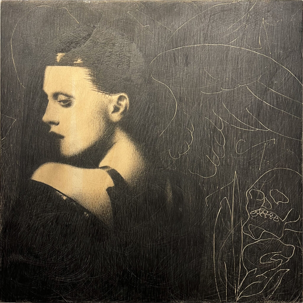 Galleria 13, Omar Galliani, Fiori Santi Insetti, grafite e tecnica mista su tavola, 50x50 cm