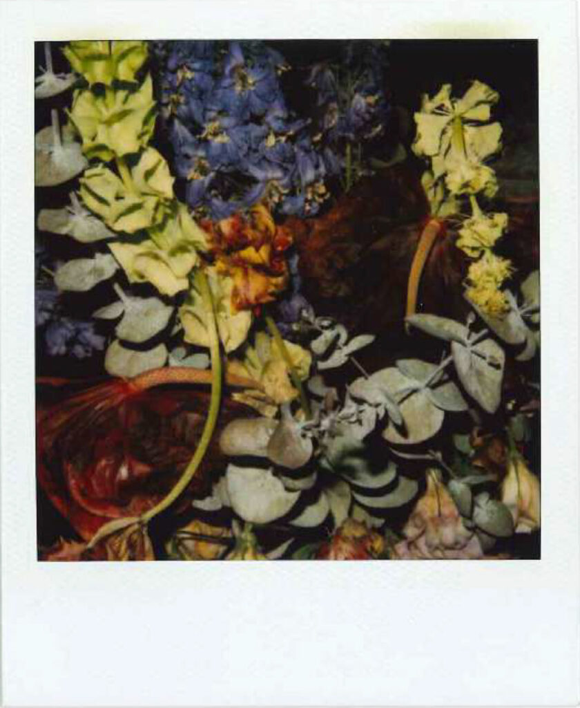 Nobuyoshi Araki, Flower polaroid 10.8x8.8 cm