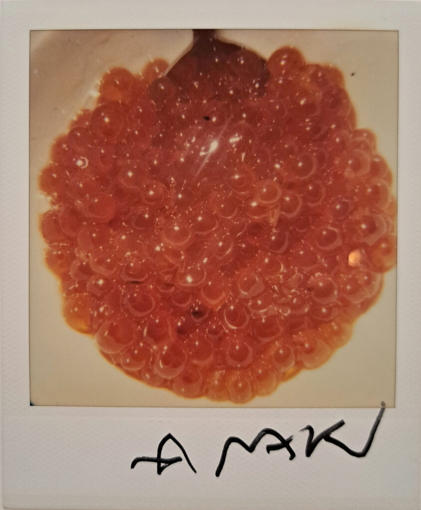 Nobuyoshi Araki, Food polaroid 10.8x8.8 cm, Galleria13