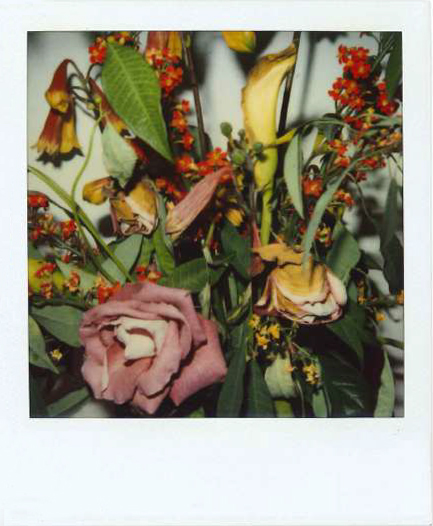 Galleria13, Nouyoshi Araki, flower polaroid, 10.8x8.8 cm hand-signed by Araki