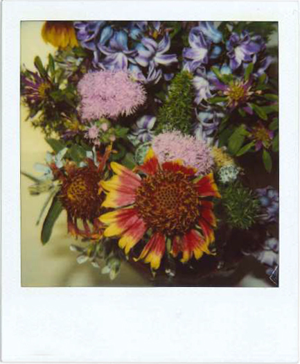 Galleria13, Nouyoshi Araki, flower polaroid, 10.8x8.8 cm hand-signed by Araki