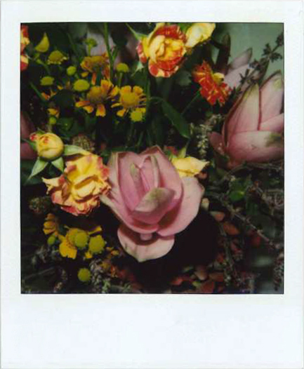 Galleria13, Nouyoshi Araki, flower polaroid, 10.8x8.8 cm hand-signed by Araki on the front