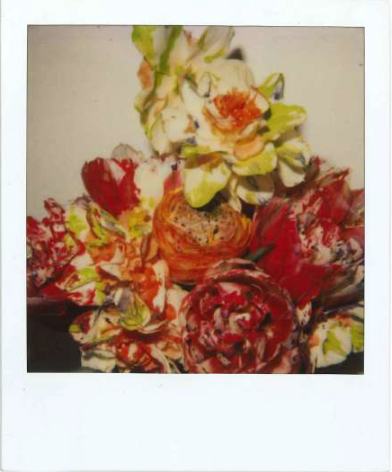 Galleria13, Nouyoshi Araki, flower polaroid, 10.8x8.8 cm hand-signed by Araki