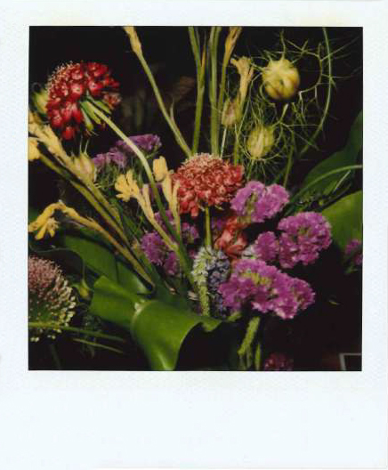 Galleria13, Nouyoshi Araki, flower polaroid, 10.8x8.8 cm hand-signed by Araki