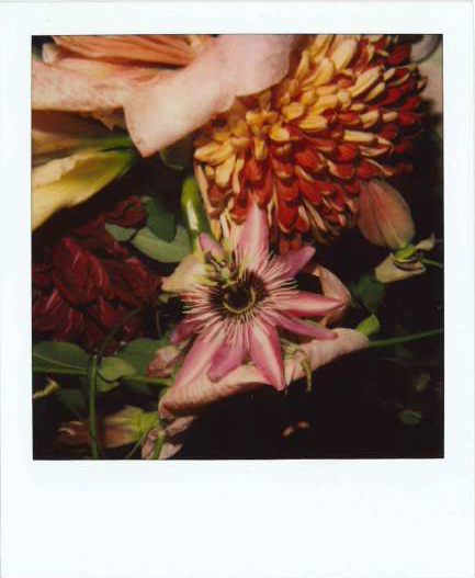 Galleria13, Nouyoshi Araki, flower polaroid, 10.8x8.8 cm hand-signed by Araki on the front