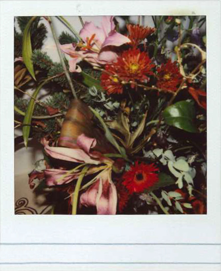 Galleria13, Nouyoshi Araki, flower polaroid, 10.8x8.8 cm hand-signed by Araki