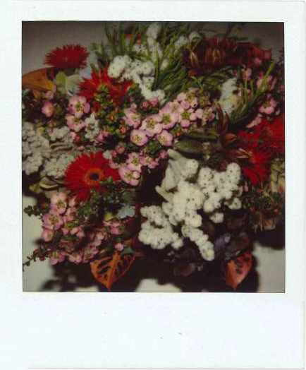 Galleria13, Nouyoshi Araki, flower polaroid, 10.8x8.8 cm hand-signed by Araki