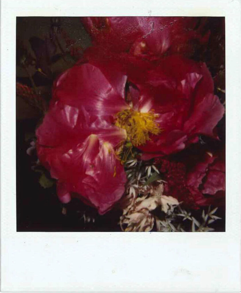 Nobuyoshi araki, Flower polaroid