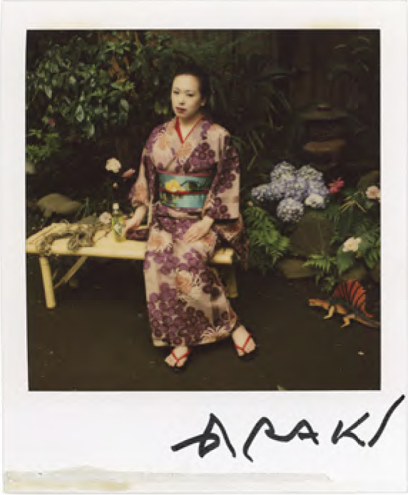 Nobuyoshi Araki, kinbaku polaroid