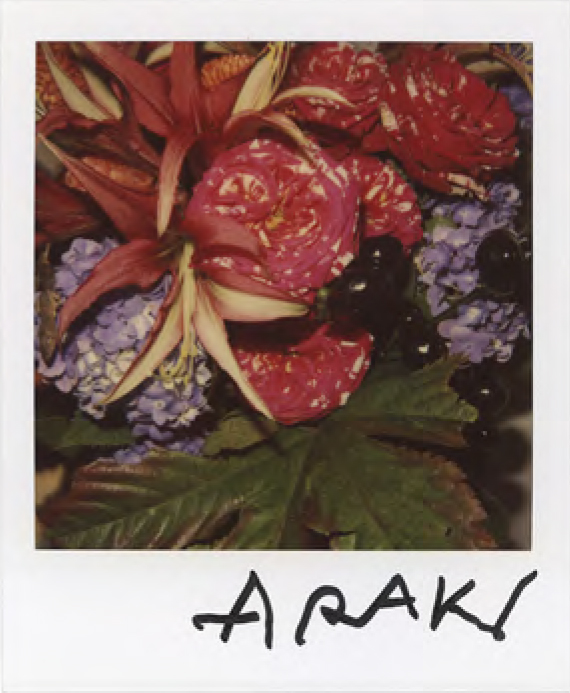 Nobuyoshi Araki, Flower polaroid