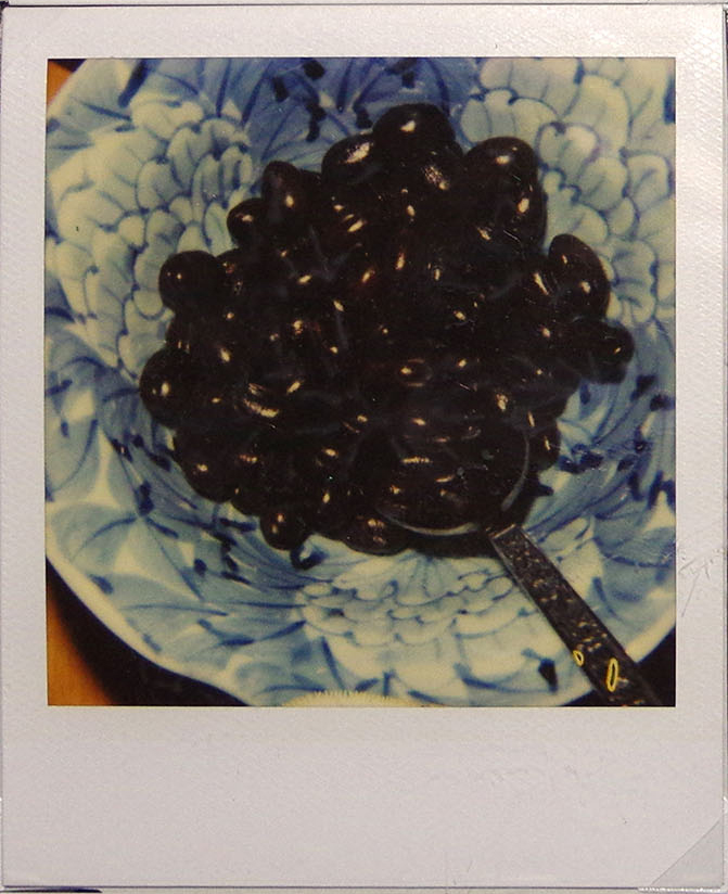 Nobuyoshi Araki food polaroid