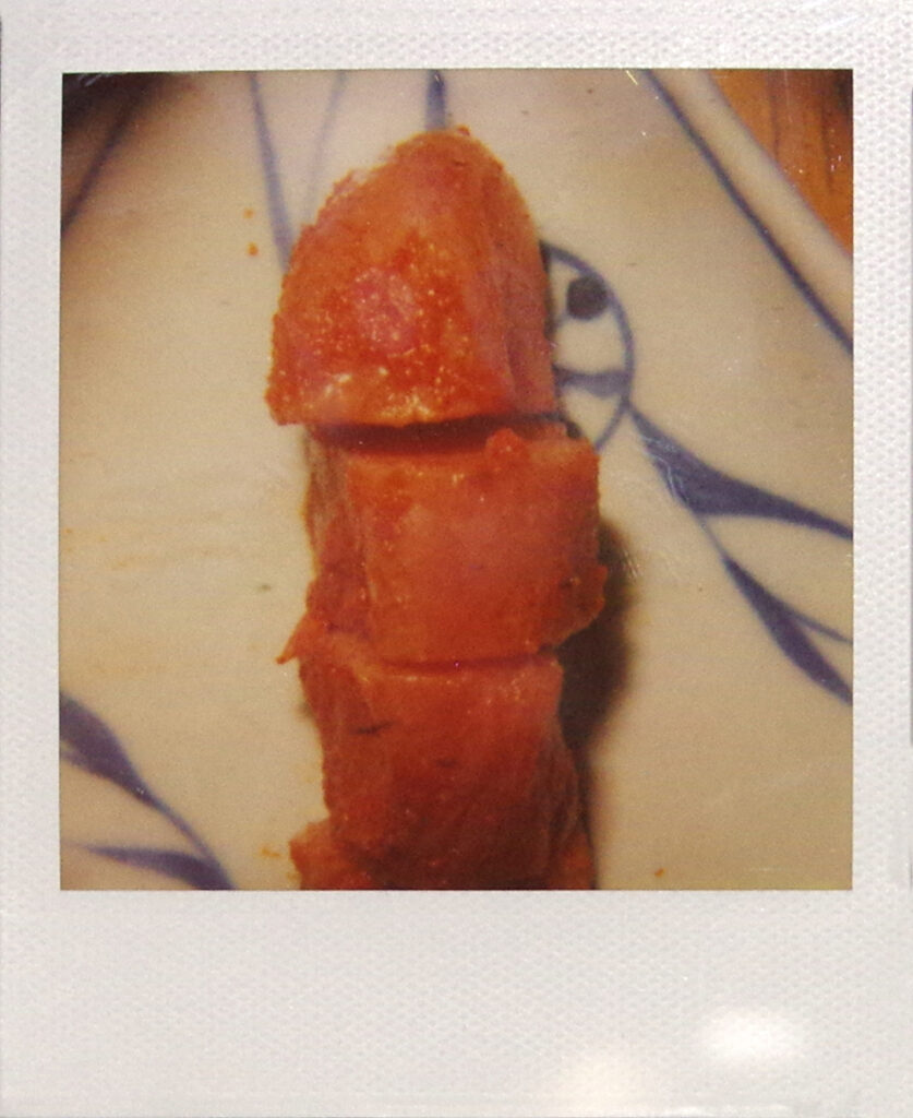 Nobuyoshi Araki food polaroid