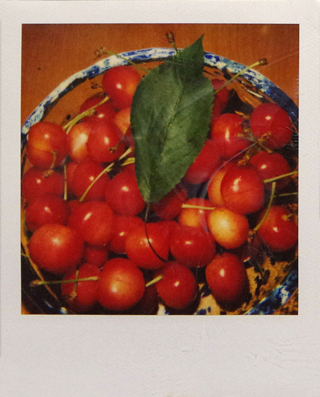 Nobuyoshi Araki food polaroid