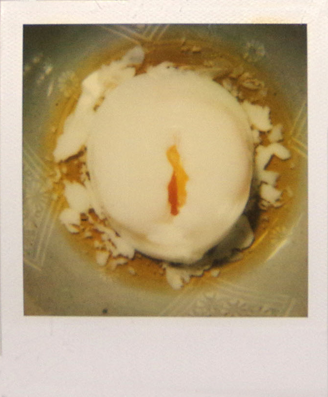 Nobuyoshi Araki food polaroid