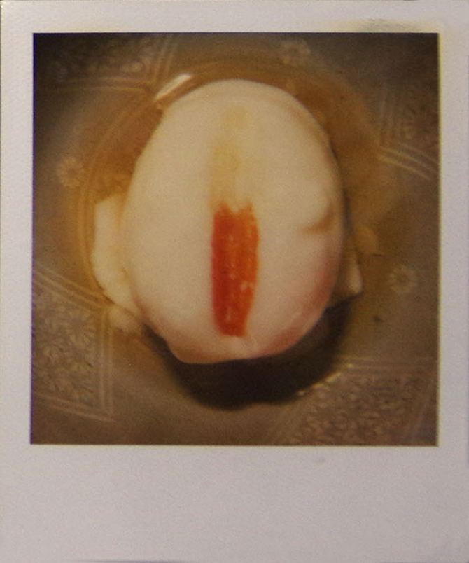 Nobuyoshi Araki food polaroid