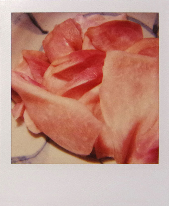 Nobuyoshi Araki food polaroid