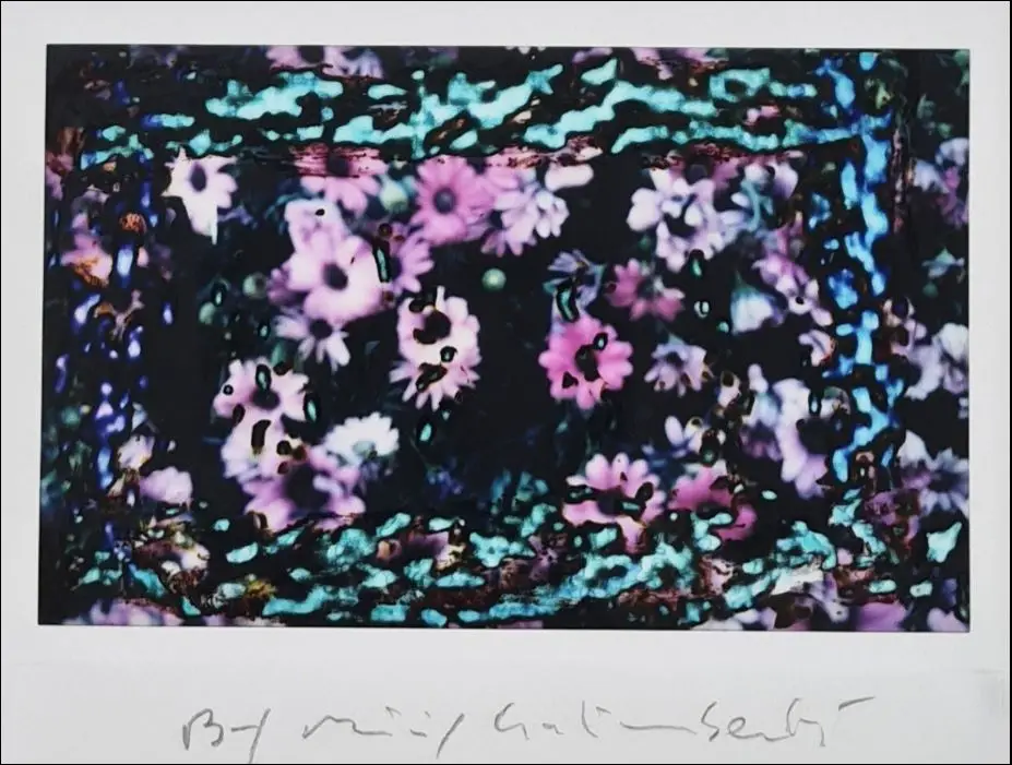 Maurizio Galimberti Flower polaroid