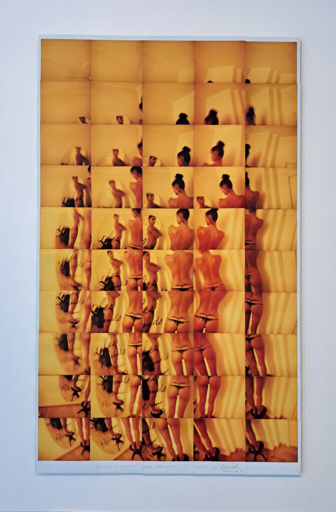 Studio di nudo con specchio 2006