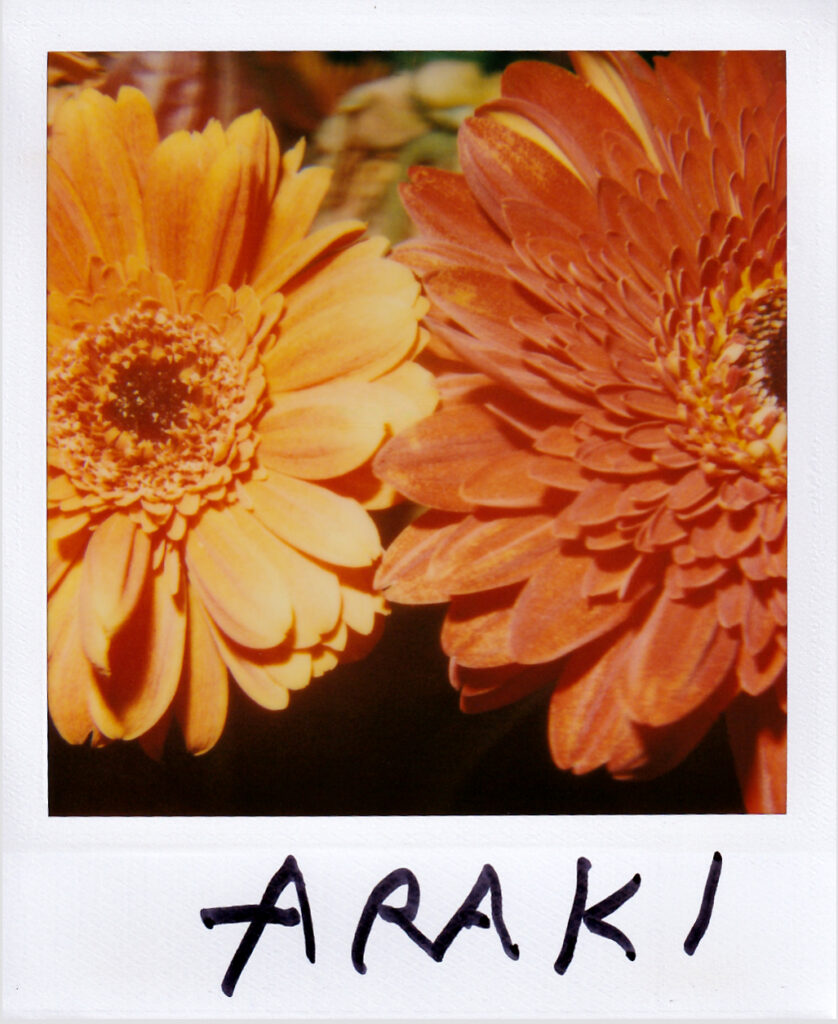 Nobuyoshi Araki, Vintage polaroid, Galleria13