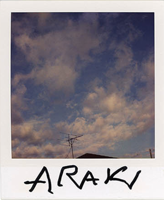 Nobuyoshi araki, Sky polaroid