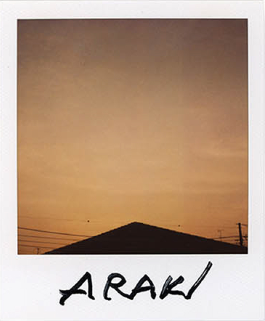 Nobuyoshi araki, Sky polaroid