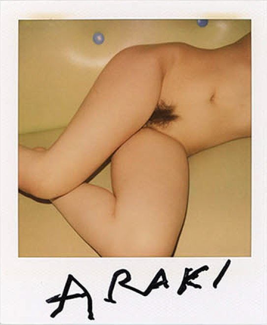 Nobuyoshi araki, Nude polaroid