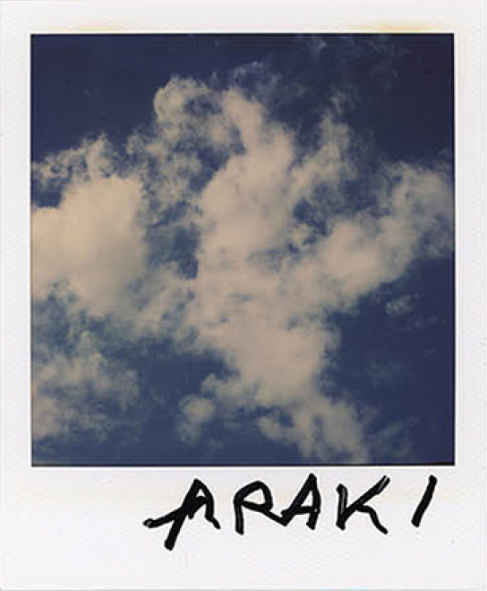 Nobuyoshi araki, Sky polaroid
