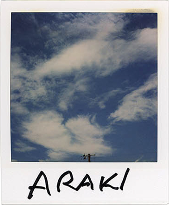 Nobuyoshi araki, Sky polaroid