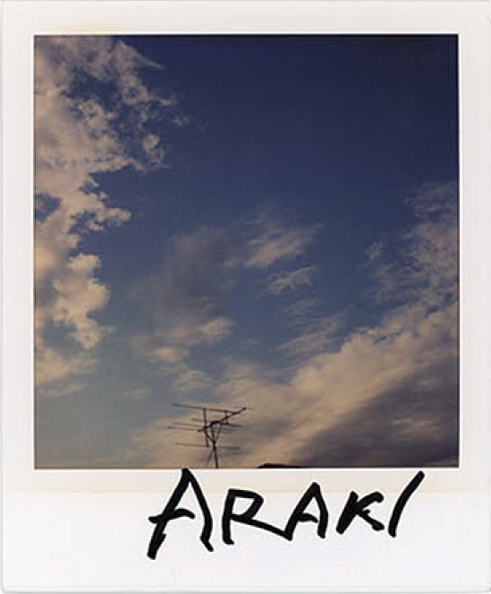 Nobuyoshi araki, Sky polaroid