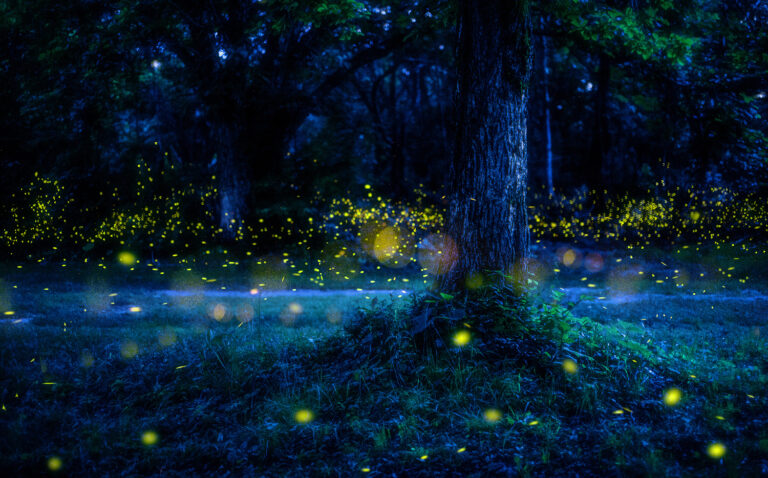 b42b976e3c048be67d3391be5ad524ce