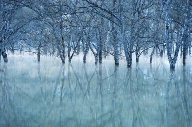 kazuaki koseki_awakening_of_trees, Galleria13