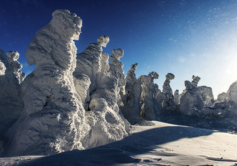 kazuakikoseki__blown_by_the_wind