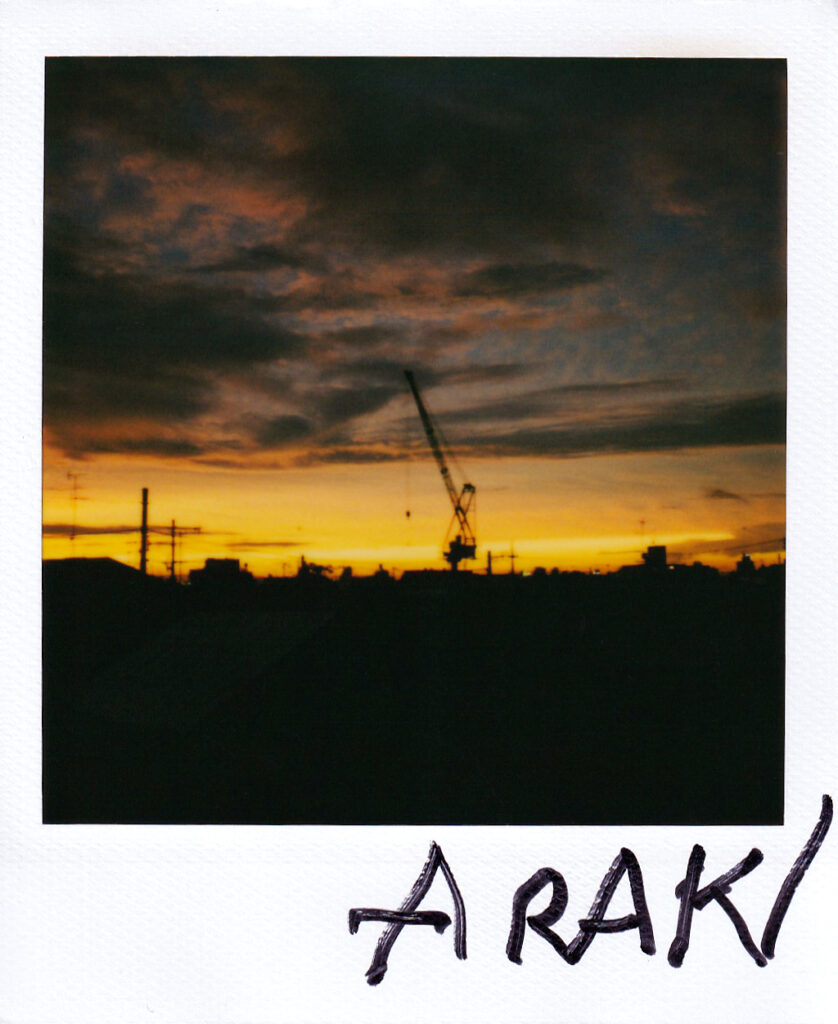Nobuyoshi Araki, sky polaroid, galleria13
