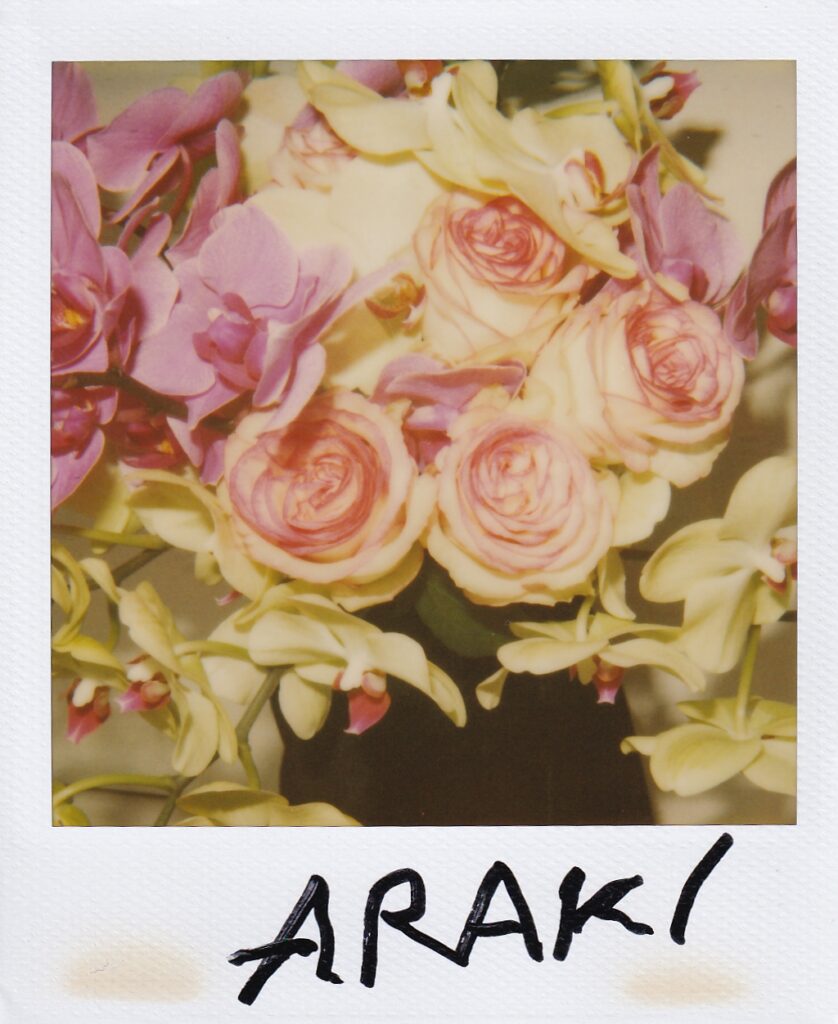 Nobuyoshi Araki, Flower polaroid 10.8x8.8 cm, signed