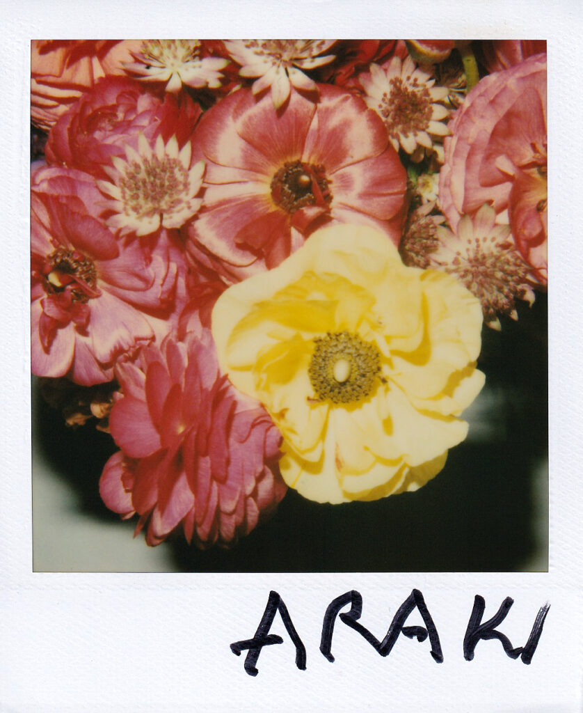 Nobuyoshi Araki, Flower polaroid 10.8x8.8 cm, signed