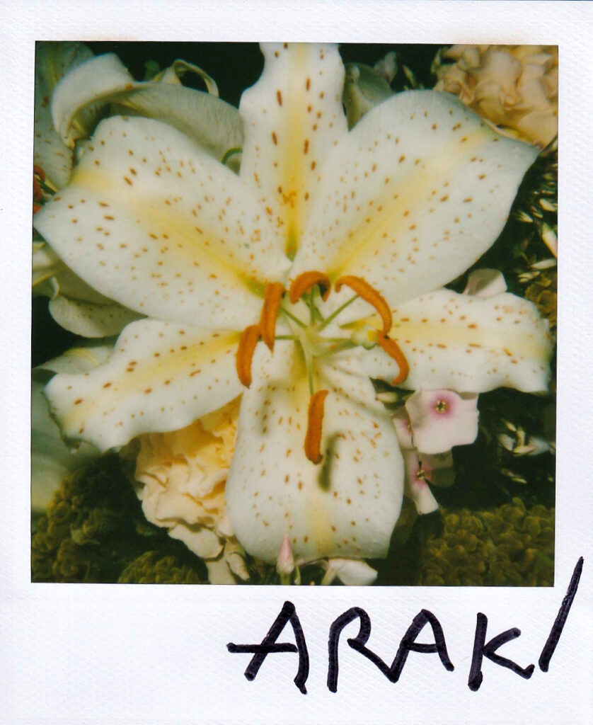 Nobuyoshi Araki, Flower polaroid 10.8x8.8 cm, signed